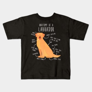 Yellow Labrador Retriever Dog Anatomy Kids T-Shirt